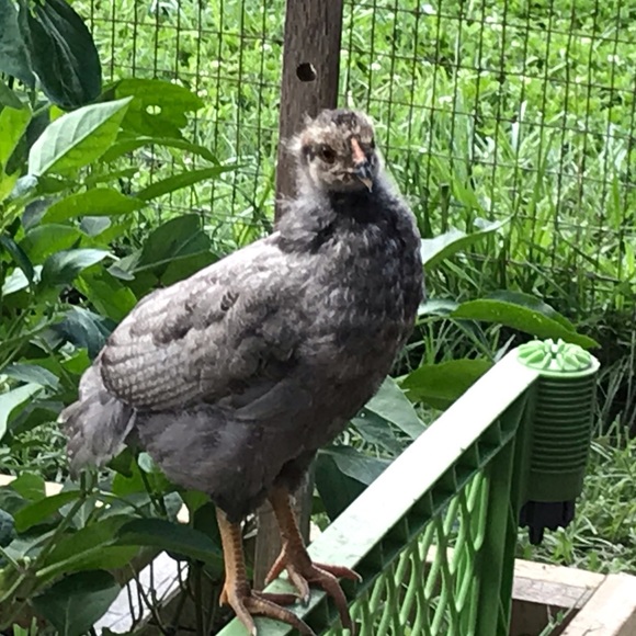 Take advantage of my of shopping addiction. - Picture 2 of 5